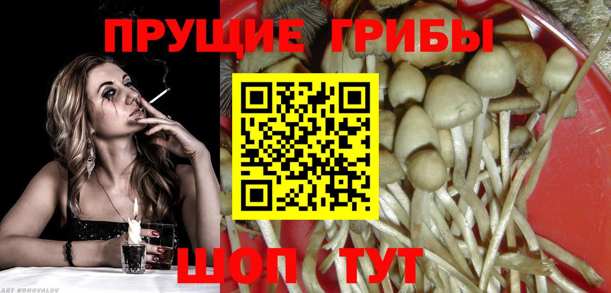 Долгопрудный  Галлюциногенные грибы прущие грибы  Вход с VPN  Галлюциногенные грибы мухоморы 